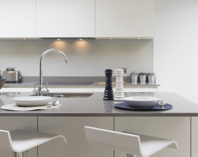 Sleek, Functional Kitchens Are Trendy